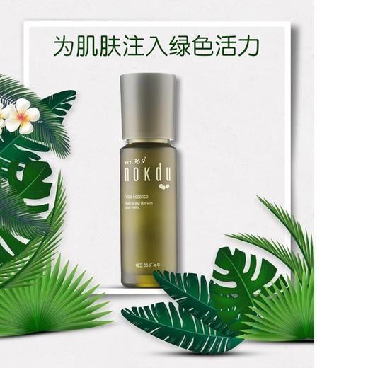 高丽雅娜绿豆美颜柔肤精华素 商品图1