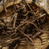 野生柴胡 | 合作生产*Wild Radix Bupleuri | Coproduction 商品缩略图4