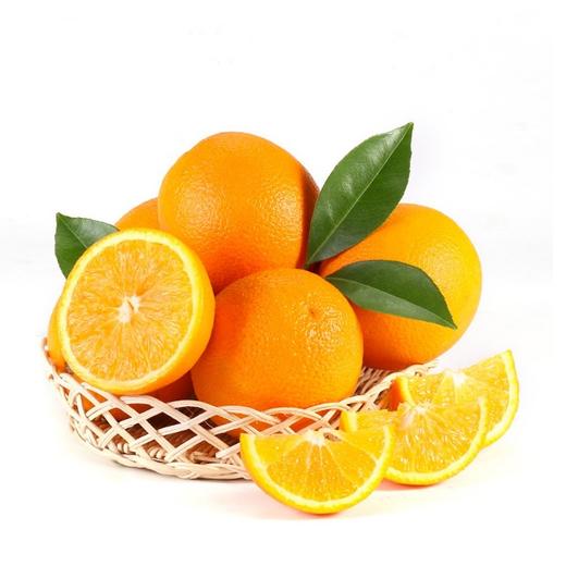 【宜昌】鑫勇泰秭归伦晚9斤大果75-80mm 商品图1