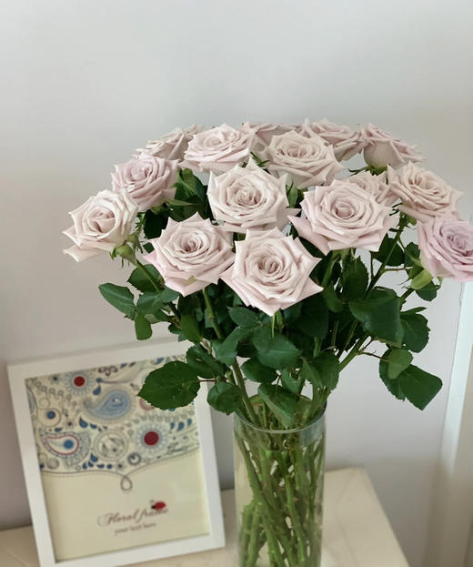 【秒杀福利】曼塔  20枝 /扎 商品图4