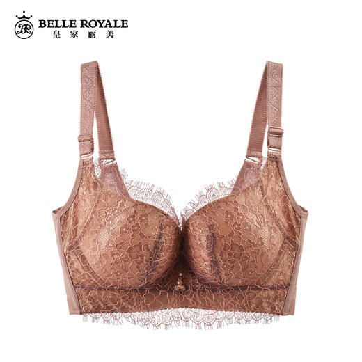 【秒杀品不退不换】皇家丽美经典蕾丝纱小胸显丰满聚拢文胸WJ1836-3 商品图0