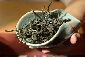 麻黑2026-1000克-晒青绿茶