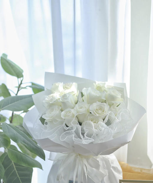 【秒杀福利】骄傲  20枝/扎 商品图1