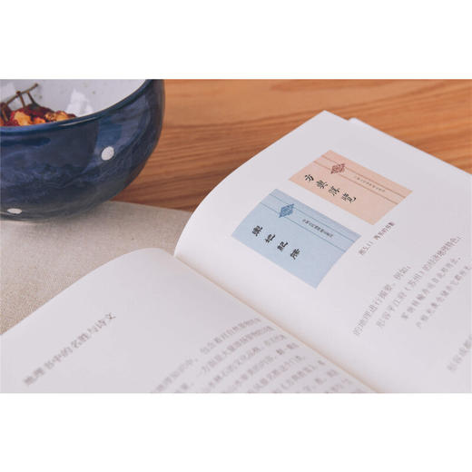 给孩子的历史地理 唐晓峰著 宏观讲解中国历史地理图景 造就开阔的眼界和看大局的头脑 给孩子的礼物 商品图2