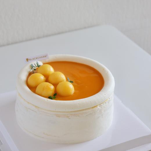 芒果千层 商品图1