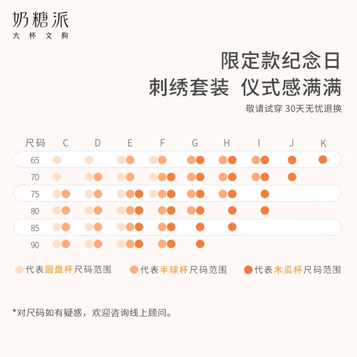 纪念日分胸型文胸舒适聚拢上托包容稳定大胸内衣女 商品图3