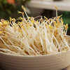 【生鲜预定】绿豆芽 小豆芽500g 商品缩略图0