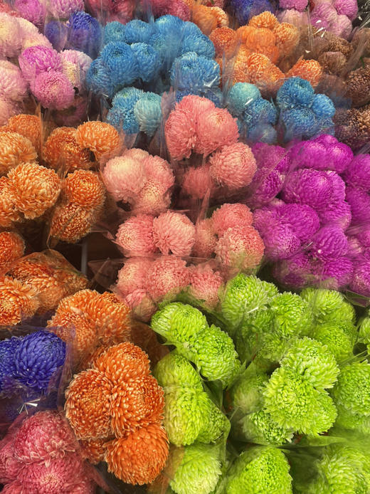 【圆满】-马来西亚牡丹菊  5枝/扎（多色可选） 商品图14