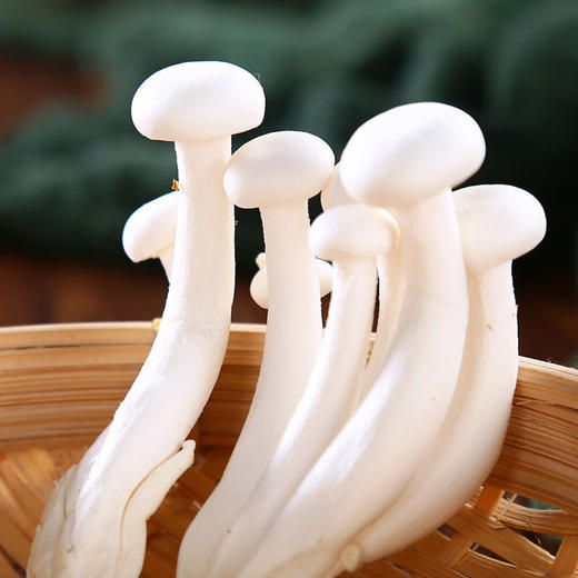 【生鲜预定】白玉菇 商品图0