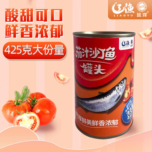 辽渔远洋 425g茄汁沙丁鱼罐头 商品图1