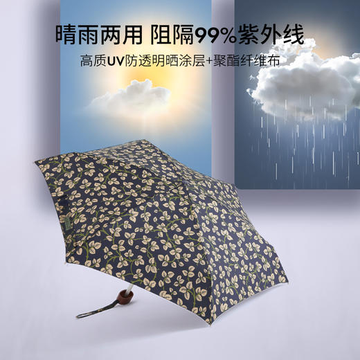 Fulton 富尔顿FULTON英国进口MORRIS雨伞防晒 商品图2