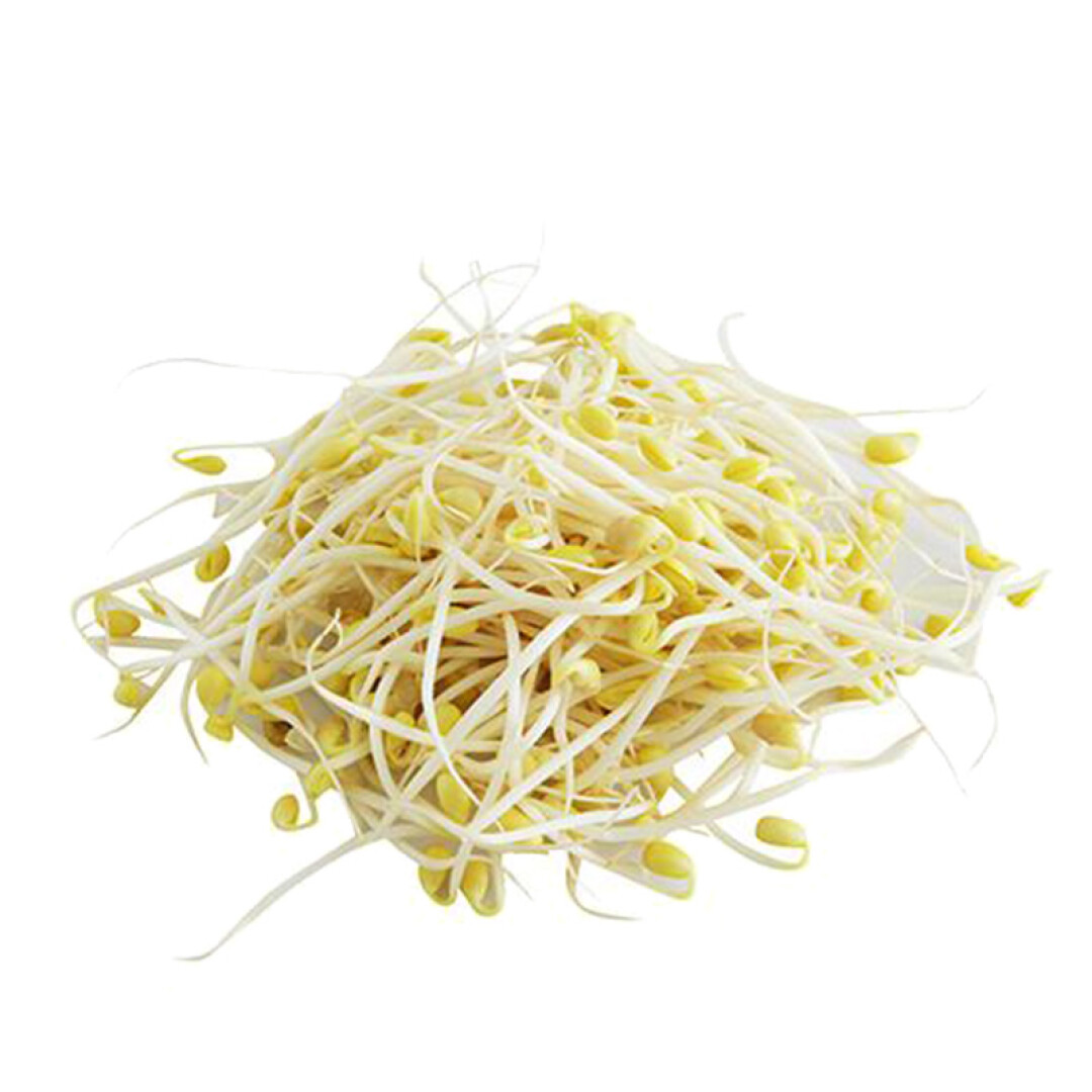 【生鲜预定】黄豆芽 大豆芽500g