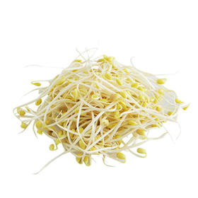 【生鲜预定】黄豆芽 大豆芽500g