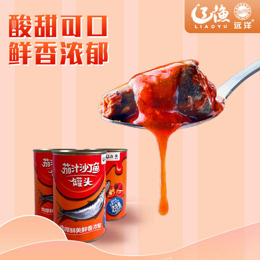 辽渔远洋 425g茄汁沙丁鱼罐头 商品图2