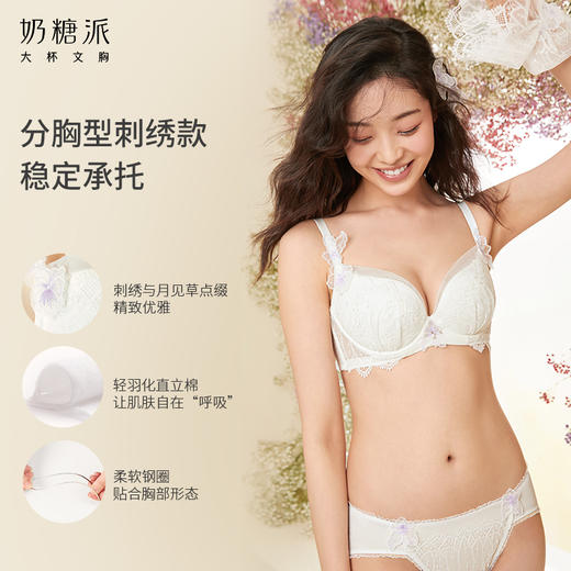 纪念日分胸型文胸舒适聚拢上托包容稳定大胸内衣女 商品图2