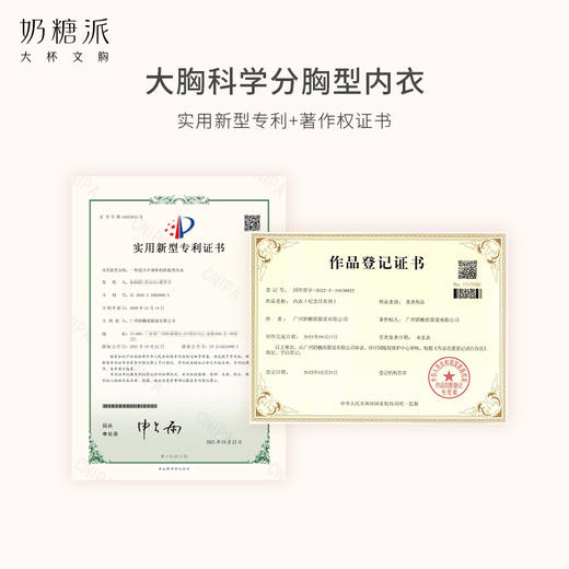 纪念日分胸型文胸舒适聚拢上托包容稳定大胸内衣女 商品图4