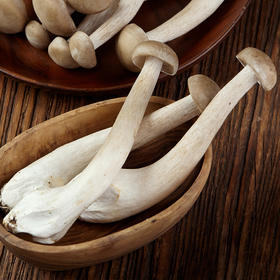 【生鲜预定】鹿茸菇400g/袋