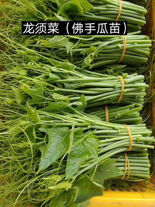 301龙须菜1 斤 商品图1