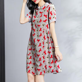 丁摩 夏季真丝连衣裙时尚宽松A字桑蚕丝裙子连衣裙Q122029