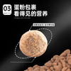 金多乐全价猫粮合集通用全期全年龄段适用【性价比之星】 商品缩略图4