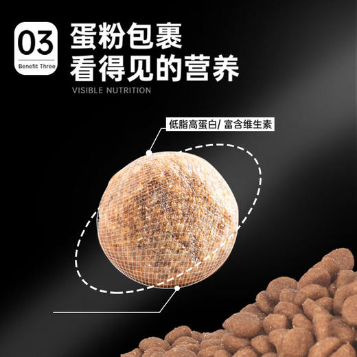金多乐全价猫粮合集通用全期全年龄段适用【性价比之星】 商品图4