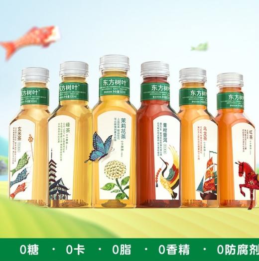 500ml东方树叶茶饮 商品图0