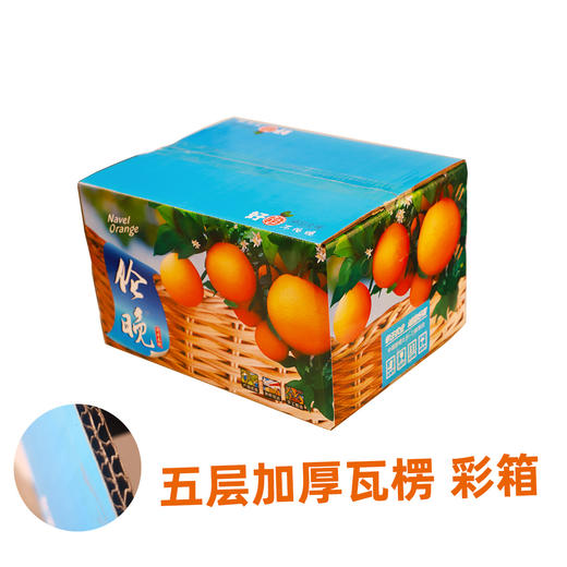 【宜昌】山水龙城秭归脐橙春橙伦晚甜橙子10斤箱装（净重9斤，70-90mm） 商品图4