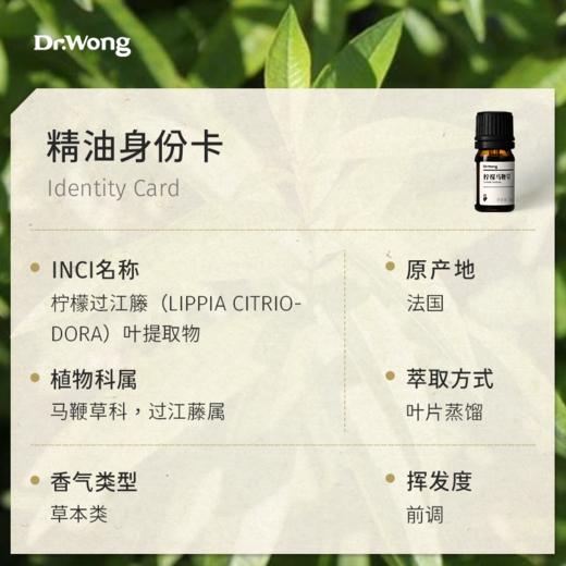 柠檬马鞭草 单方精油 商品图2