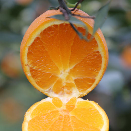 【宜昌】山水龙城秭归脐橙春橙伦晚甜橙子10斤箱装（净重9斤，70-90mm） 商品图3