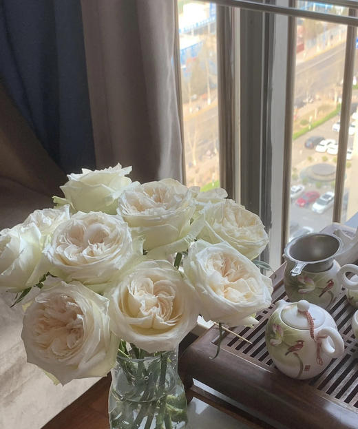 【秒杀福利】白荔枝  20支/扎 商品图8