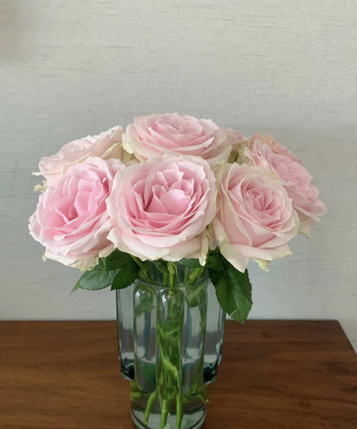 【秒杀福利】粉红雪山 20枝/扎 商品图5