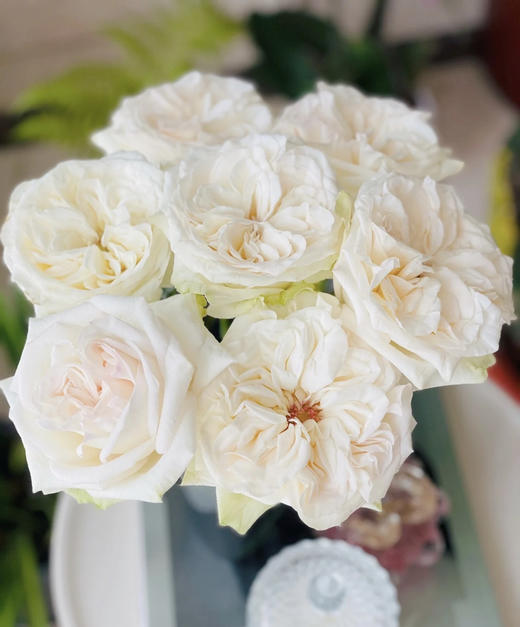 【秒杀福利】白荔枝  20支/扎 商品图3