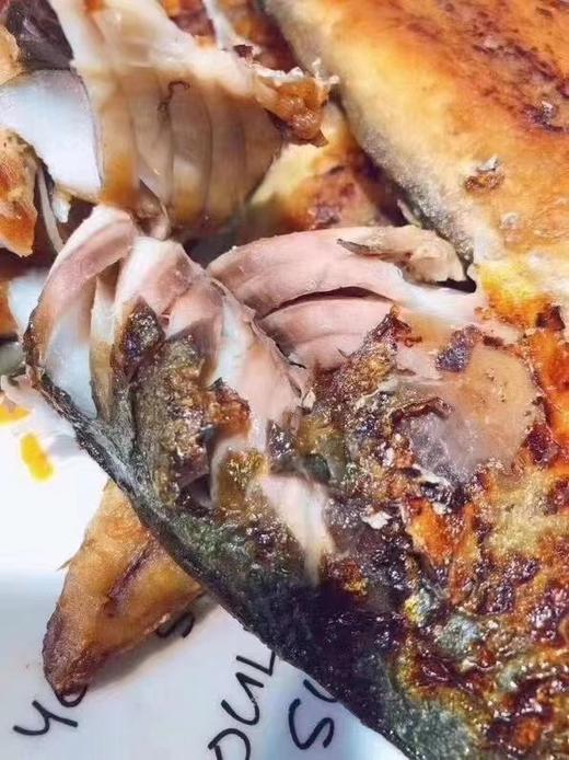 鲅鱼片2袋 商品图1