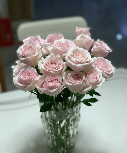 【秒杀福利】粉红雪山 20枝/扎 商品图6