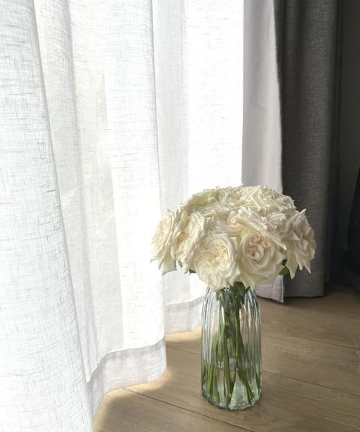 【秒杀福利】白荔枝  20支/扎 商品图6