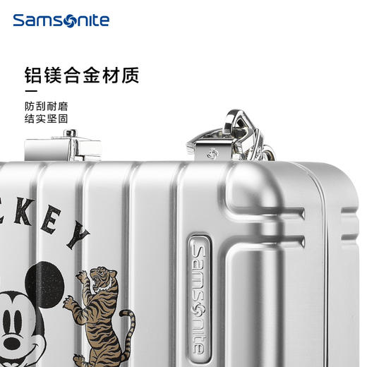 （此商品可能略有瑕疵，清仓秒杀，非质量问题不退不换，请谨慎购买）新秀丽虎年限定联名款时尚出行铝镁合金斜挎包NW0*002 商品图3