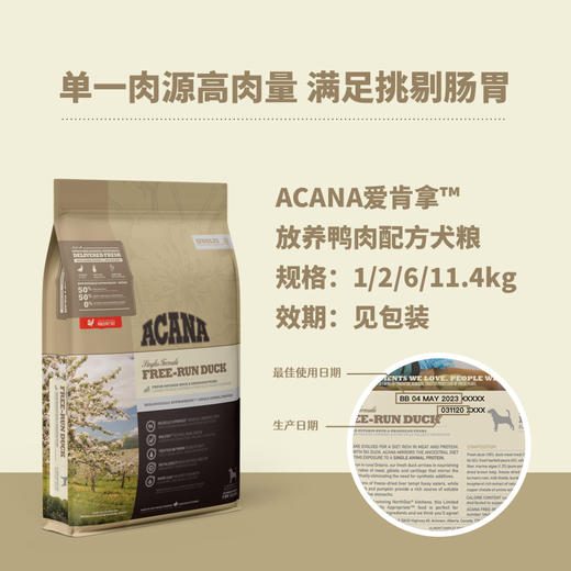 预售 爱肯拿鸭肉梨/农场盛宴/小型犬幼犬 狗狗专用 商品图1