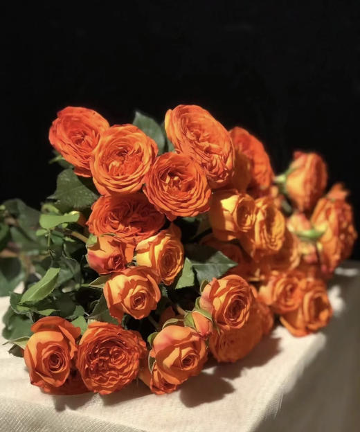 【秒杀福利】橙色芭比  约10枝/扎 商品图3