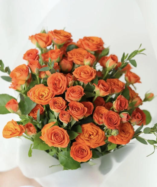 【秒杀福利】橙色芭比  约10枝/扎 商品图1