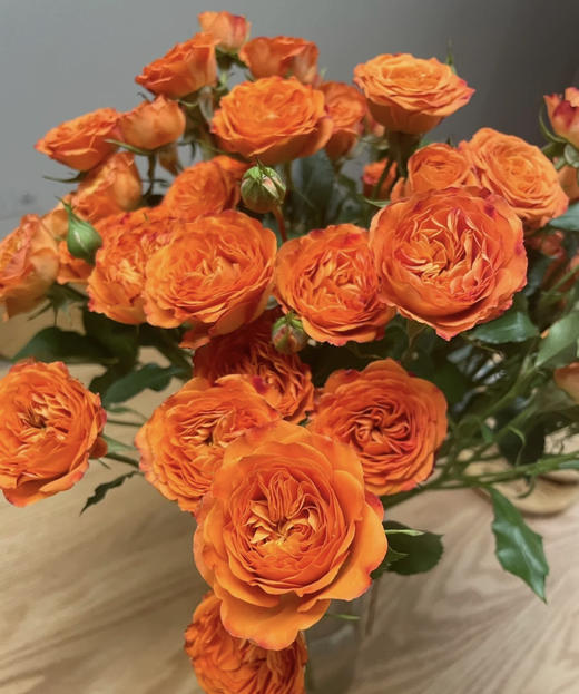 【秒杀福利】橙色芭比  约10枝/扎 商品图4