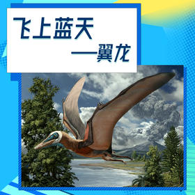 【南京】飞上蓝天的翼龙