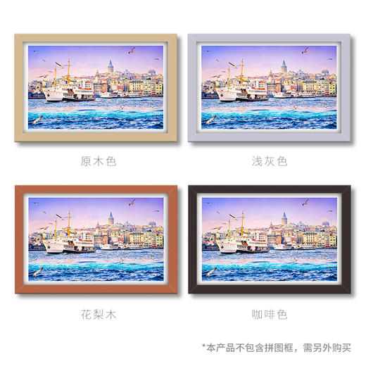 1000片 平面拼图 塑料拼图H2050 土耳其-金角湾 商品图3