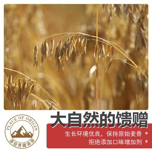 金谷力|有机皮燕麦610g精品套装藏血麦皮燕麦优选组合套餐营养早餐 糯香皮燕麦 香滑拉丝 藏血麦伴侣 商品图3