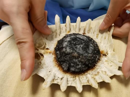 二十四节气灸 商品图1