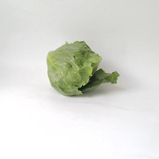 球生菜500g｜静物自产 商品图0