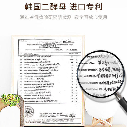 【六件套礼盒】二裂酵母6件护肤品套装水乳补水保湿化妆品女 商品图1