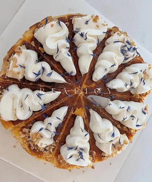 复古巴斯克 商品图2