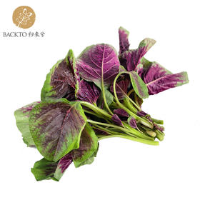 有机苋菜 300g/份 全国配送（偏远地区除外）