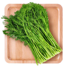 【生鲜预定】小茴香1kg