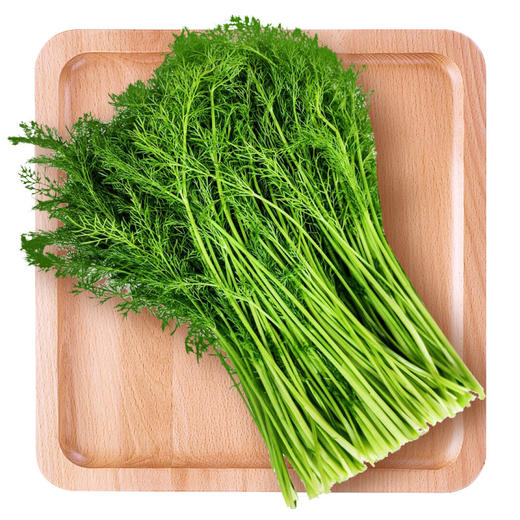 【生鲜预定】小茴香1kg 商品图0